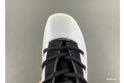 Jordan 17 Low “Lightning” Air 0829